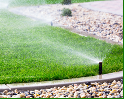 Landscape Sprinklers